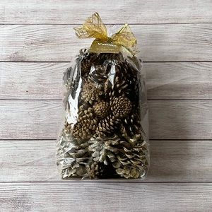NEW Vanilla Gold Dusted Bag of Pinecones